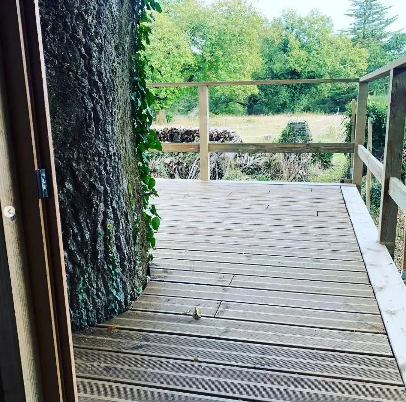Cabane en bois (1)