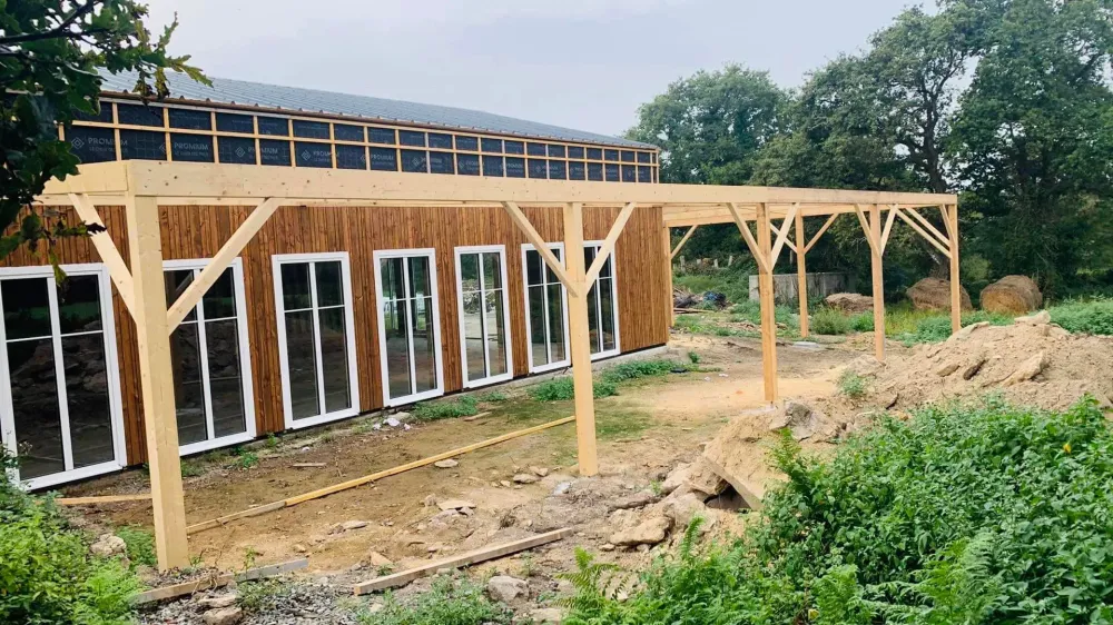 pergola en bois (3)